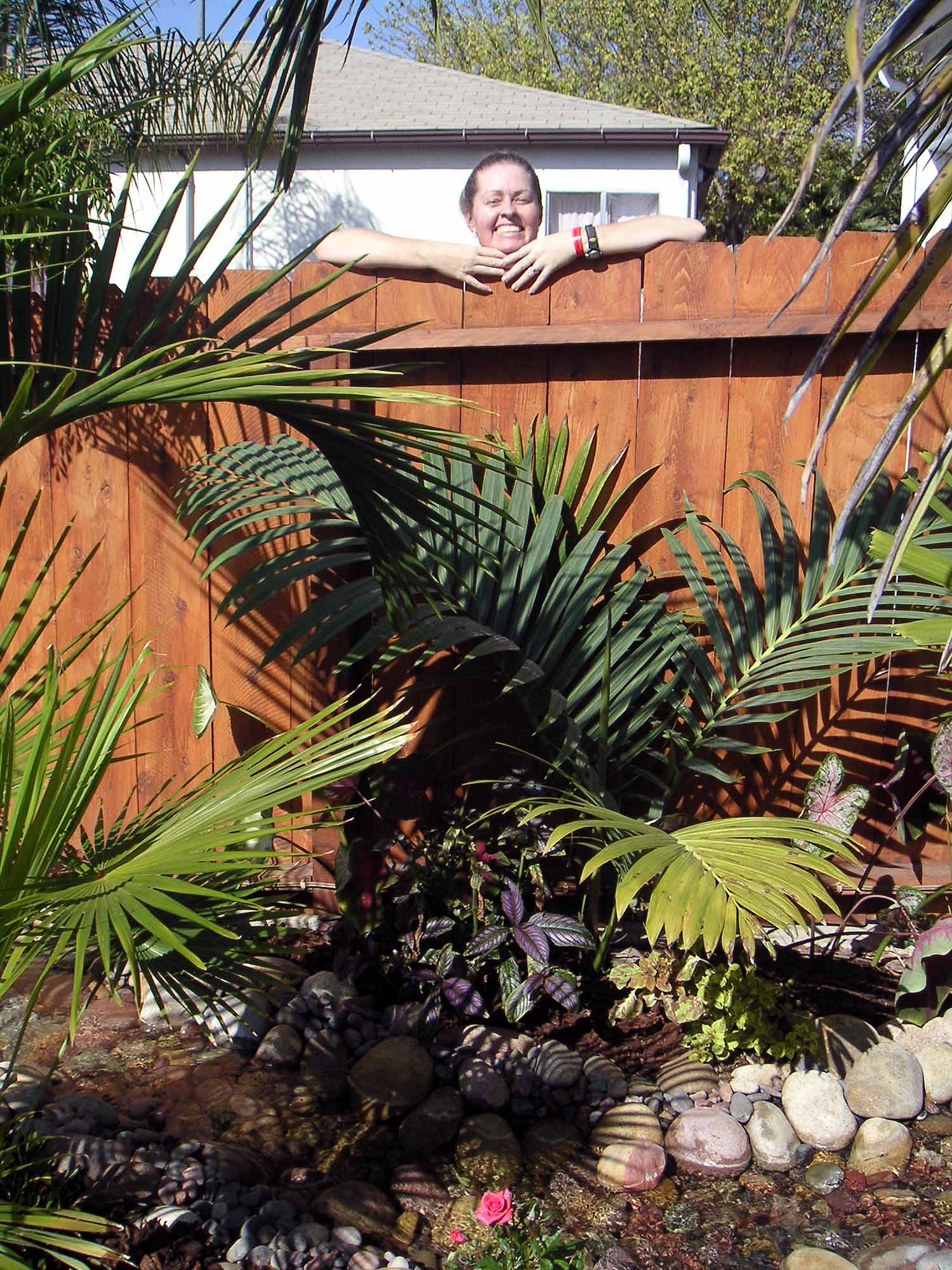 Best pH for palms DISCUSSING PALM TREES WORLDWIDE PalmTalk